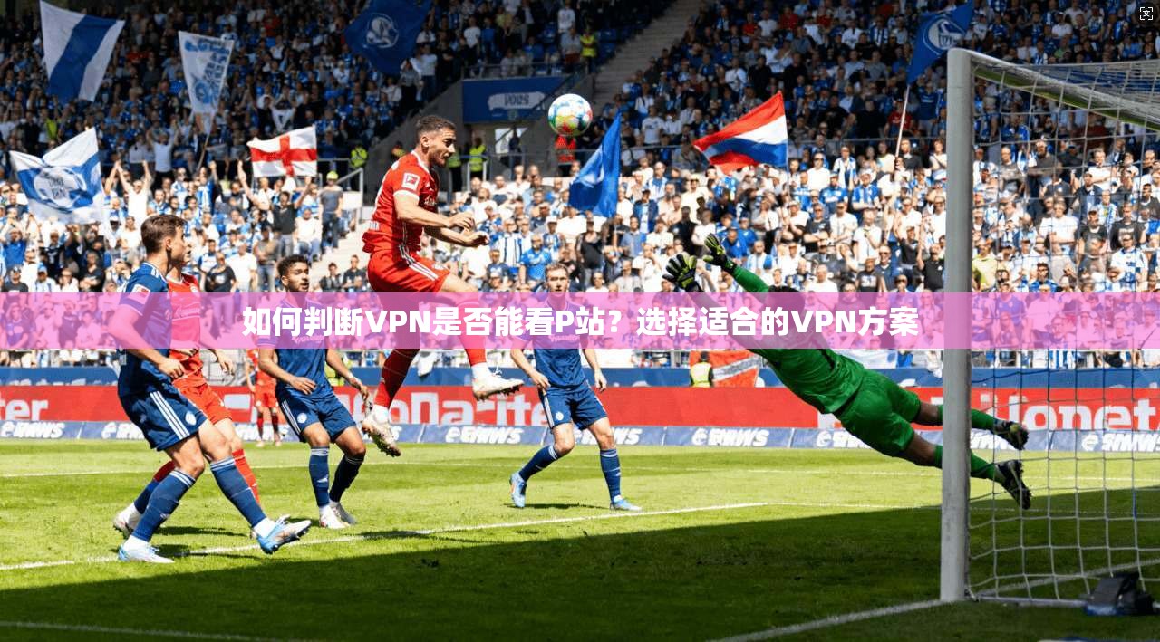 如何判断VPN是否能看P站？选择适合的VPN方案