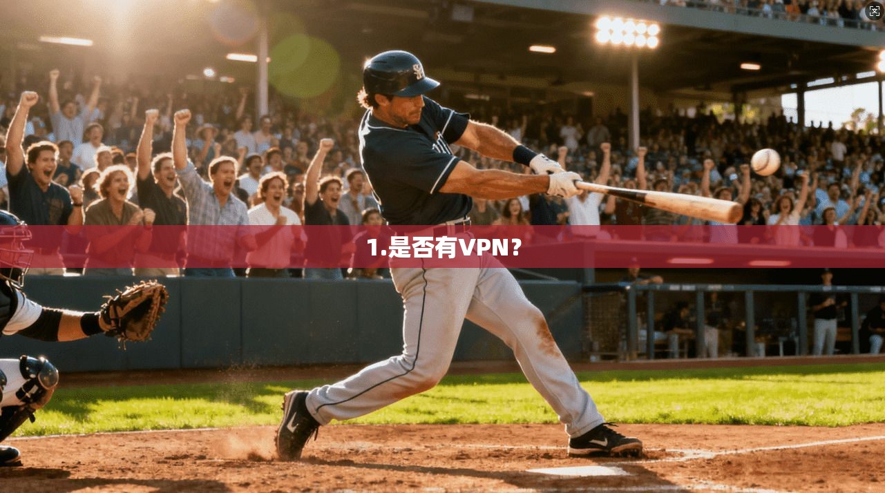 1.是否有VPN？