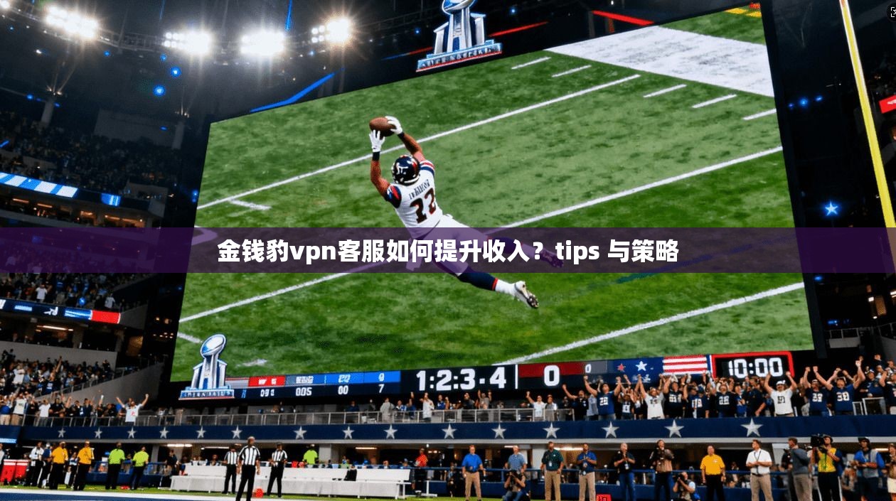 金钱豹vpn客服如何提升收入?tips 与策略
