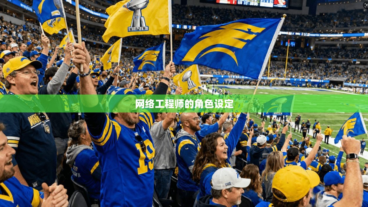 网络工程师的角色设定