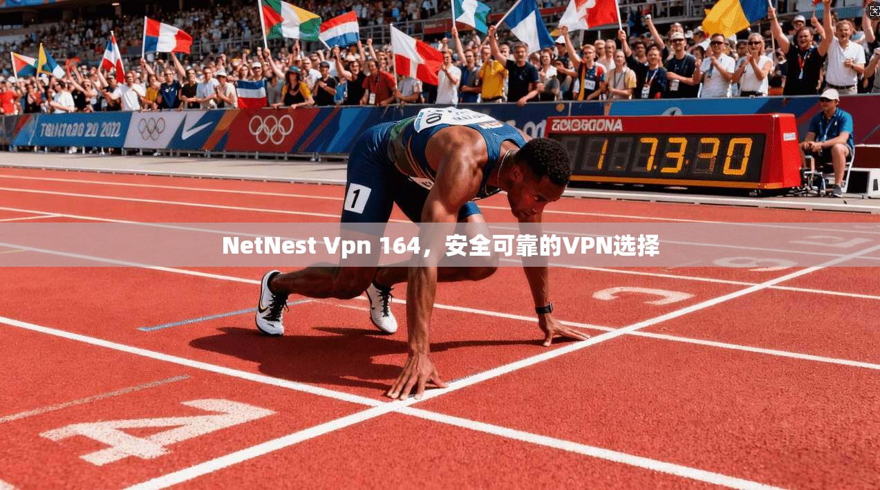 NetNest Vpn 164，安全可靠的VPN选择  第1张