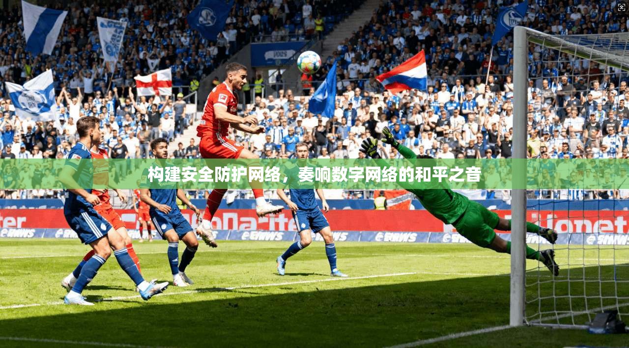 构建安全防护网络,奏响数字网络的和平之音 第1张 构建安全防护网络,奏响数字网络的和平之音 第1张