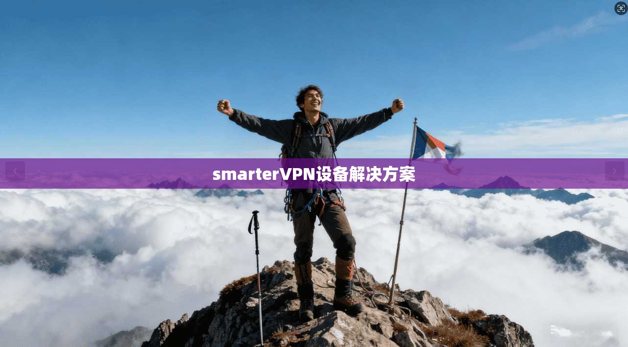 smarterVPN设备解决方案