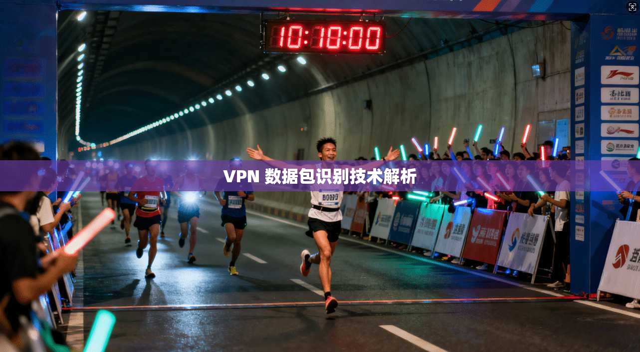 VPN 数据包识别技术解析