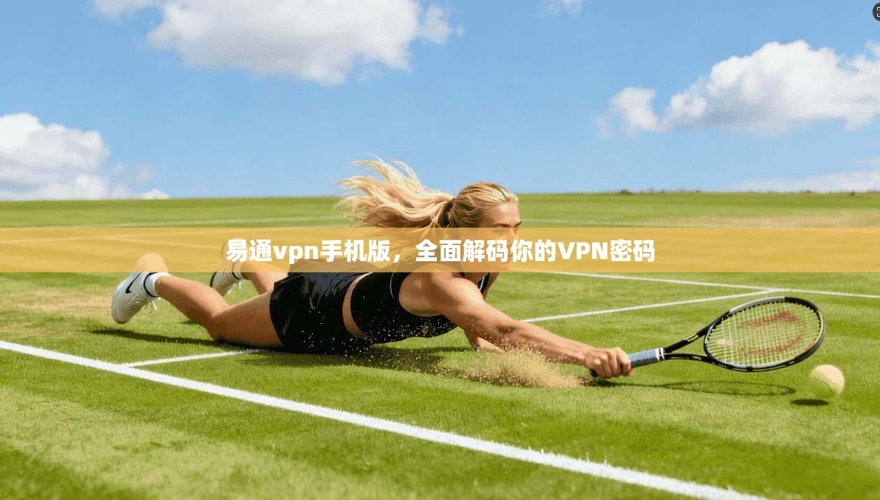 易通vpn手机版，全面解码你的VPN密码  第1张