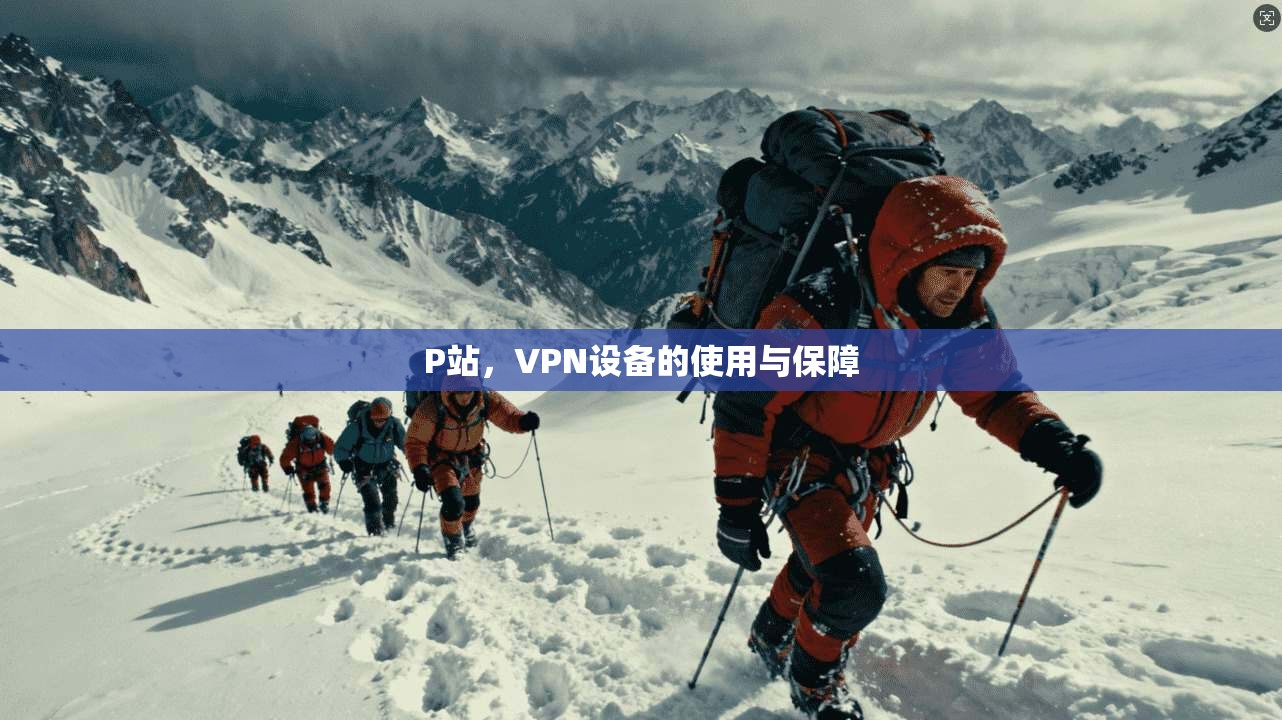 P站，VPN设备的使用与保障