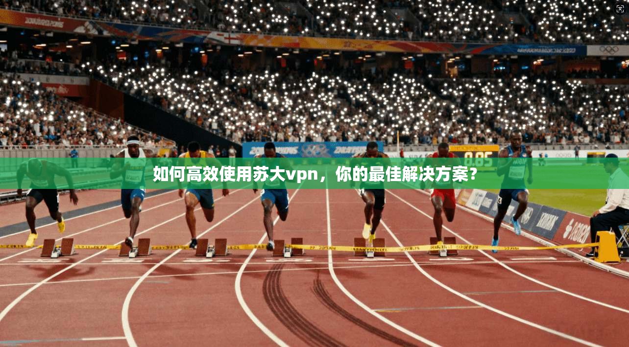 如何高效使用苏大vpn，你的最佳解决方案？