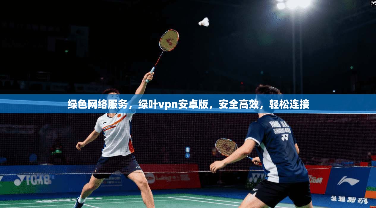 绿色网络服务，绿叶vpn安卓版，安全高效，轻松连接  第1张