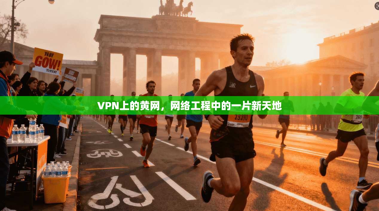 VPN上的黄网，网络工程中的一片新天地  第1张