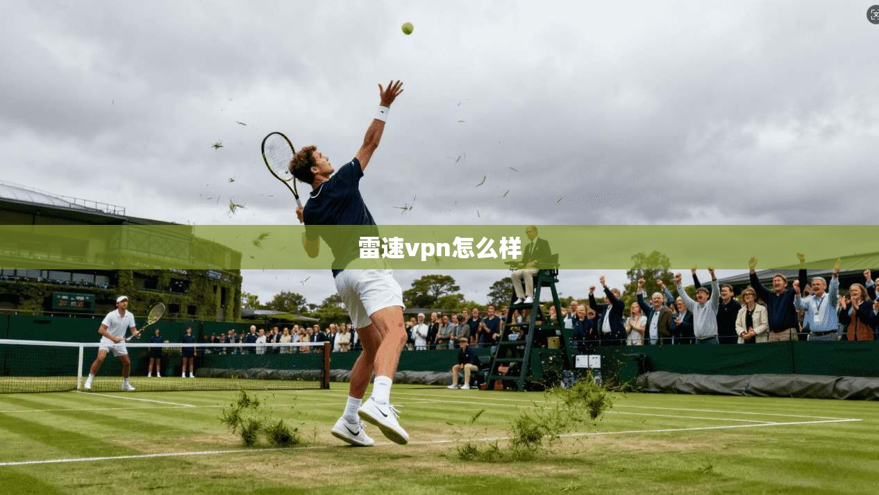 雷速vpn怎么样  第1张