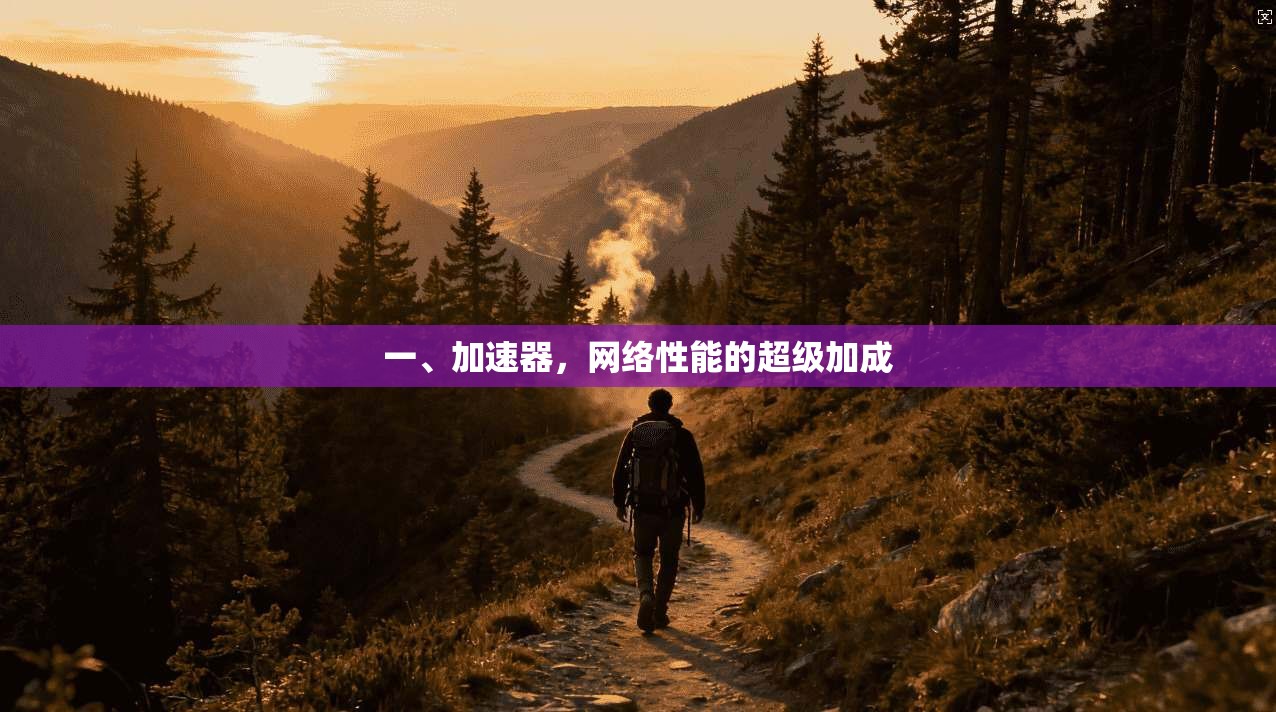 一、加速器，网络性能的超级加成