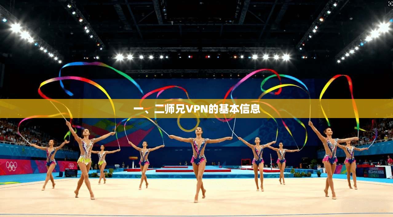 一、二师兄VPN的基本信息  第1张