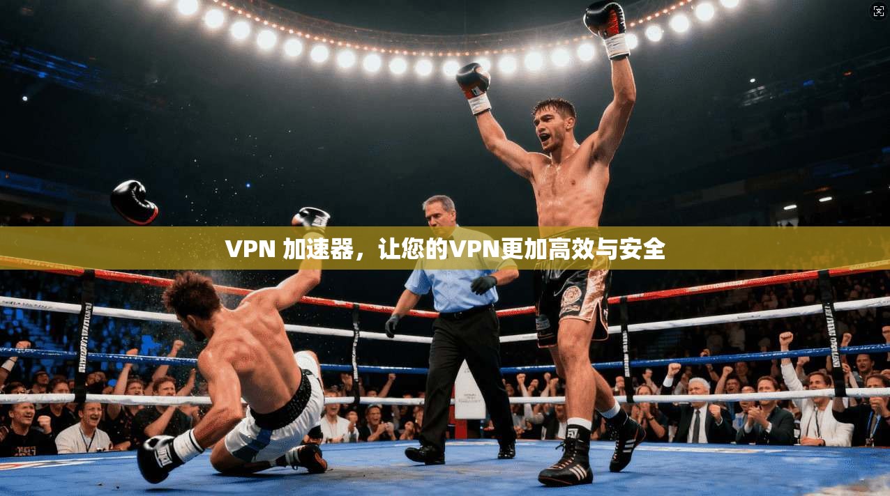 VPN 加速器,让您的VPN更加高效与安全