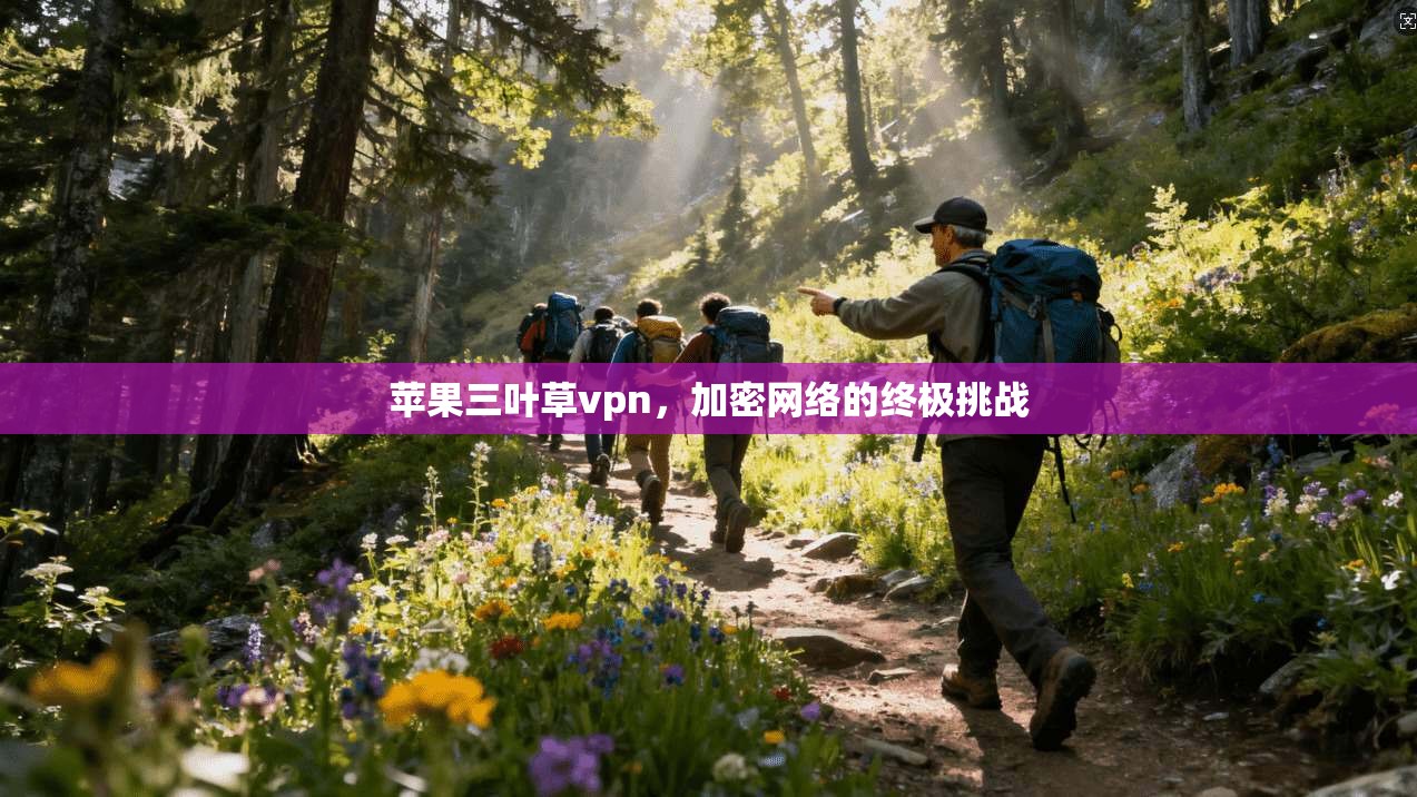 苹果三叶草vpn,加密网络的终极挑战