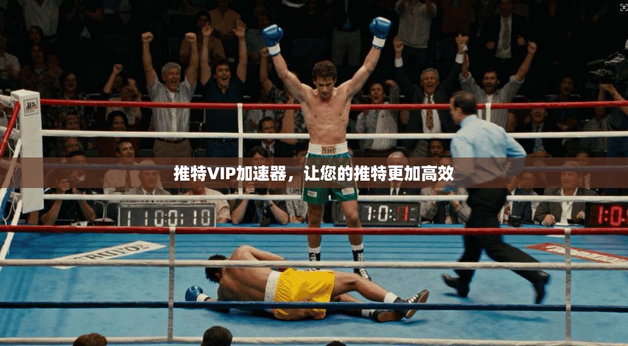 推特VIP加速器，让您的推特更加高效