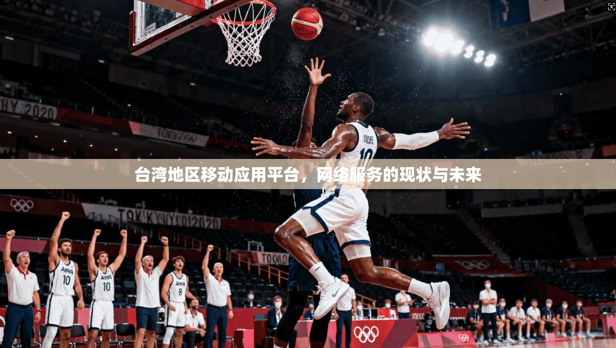 台湾地区移动应用平台,网络服务的现状与未来