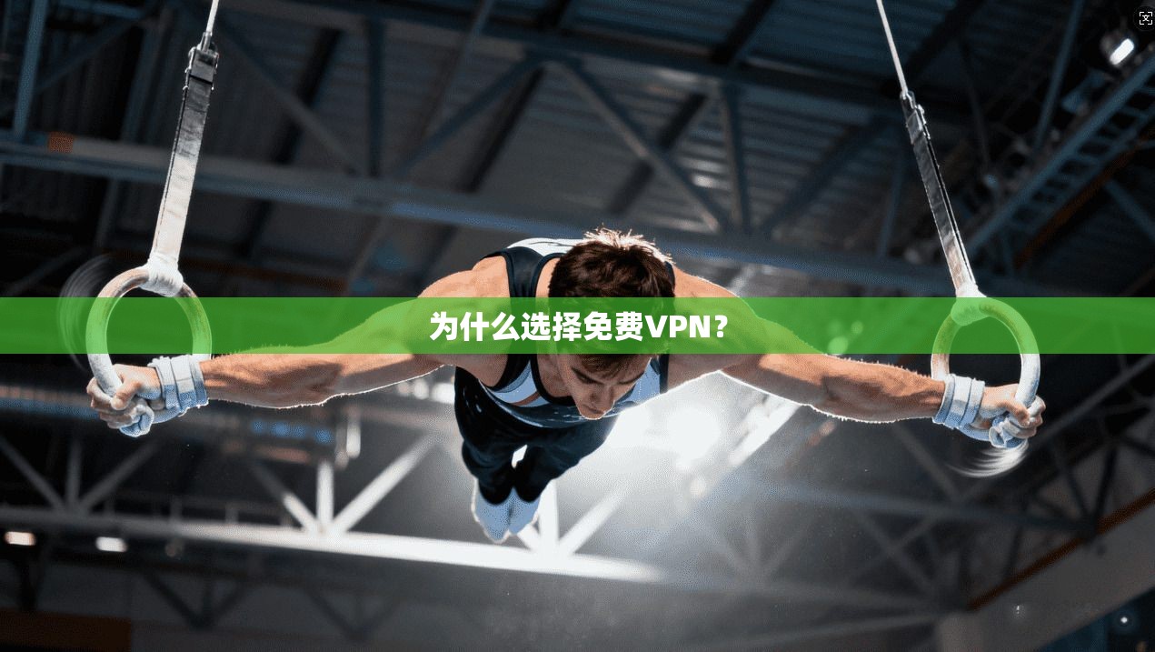 为什么选择免费VPN?