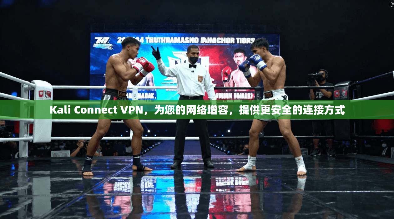 Kali Connect VPN，为您的网络增容，提供更安全的连接方式