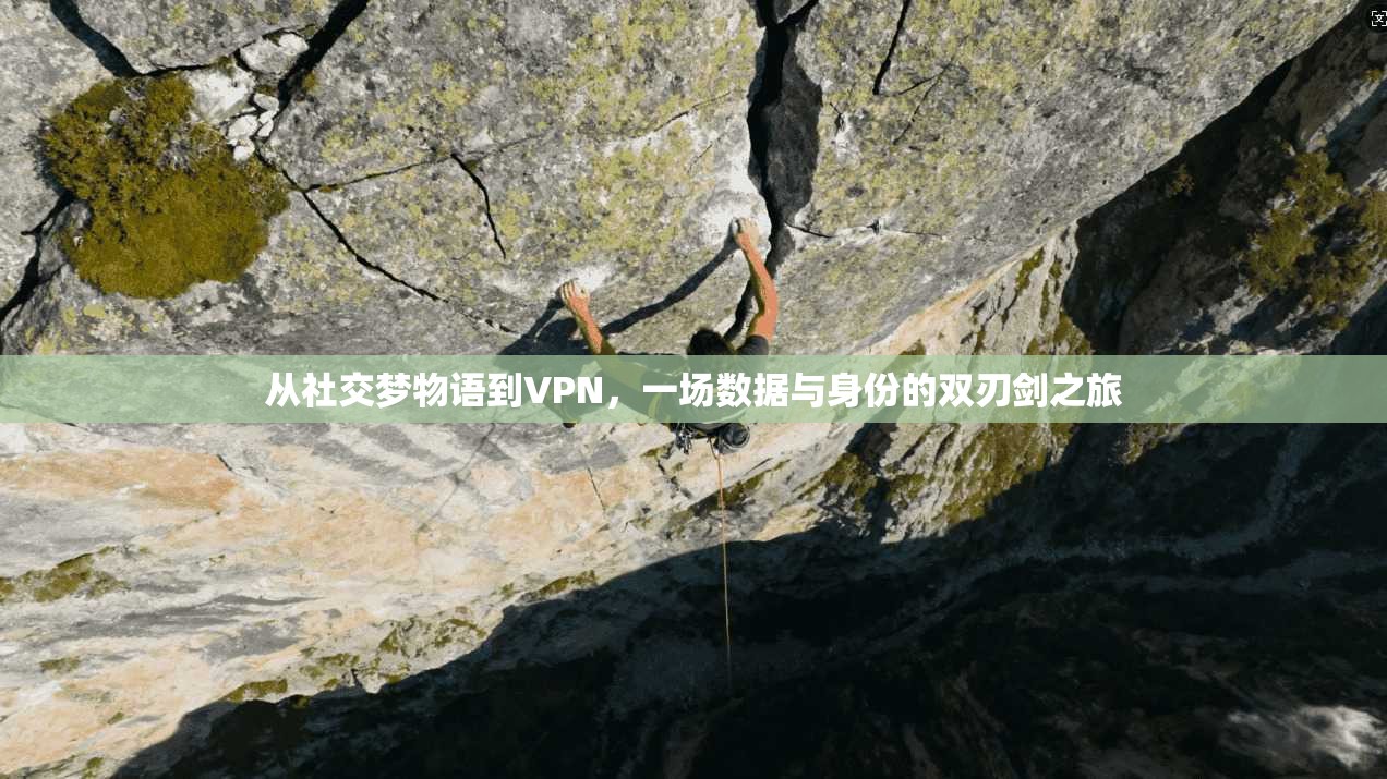 从社交梦物语到VPN，一场数据与身份的双刃剑之旅