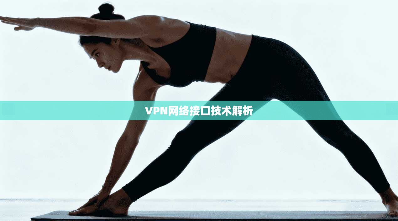 VPN网络接口技术解析