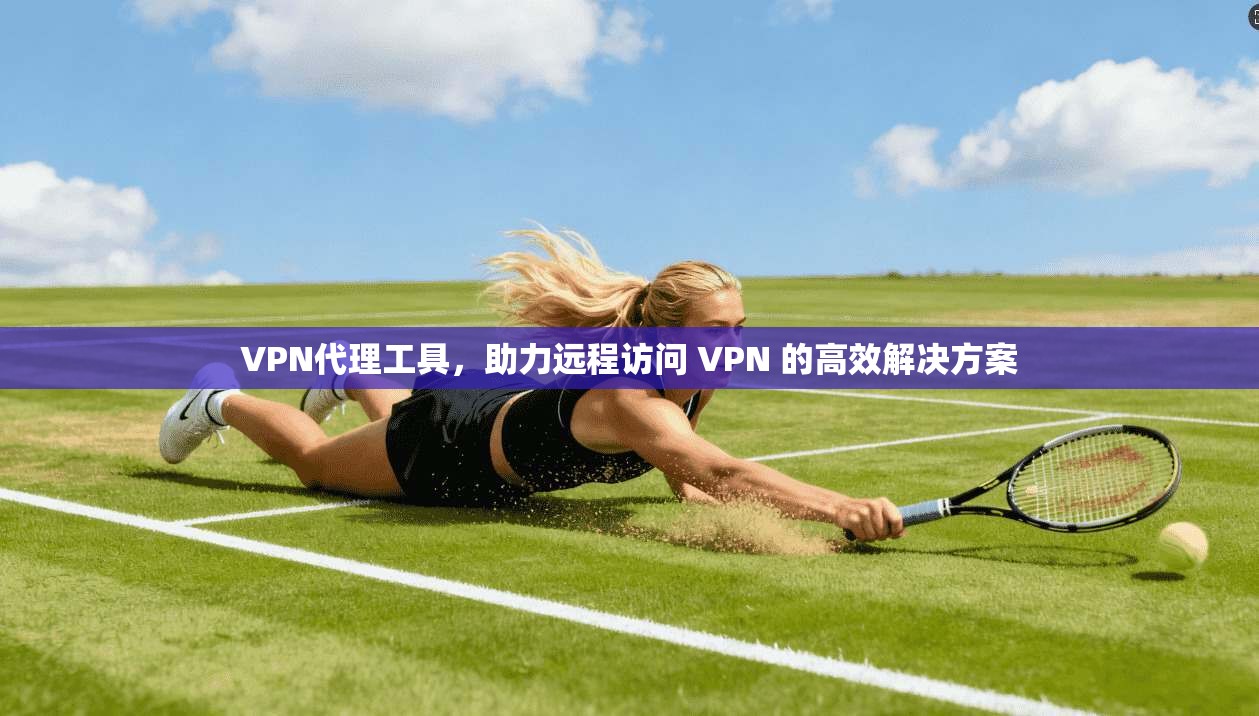 VPN代理工具，助力远程访问 VPN 的高效解决方案