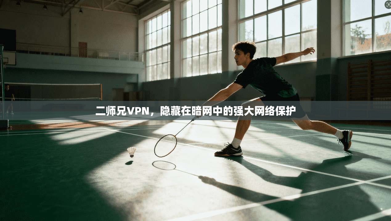二师兄VPN，隐藏在暗网中的强大网络保护