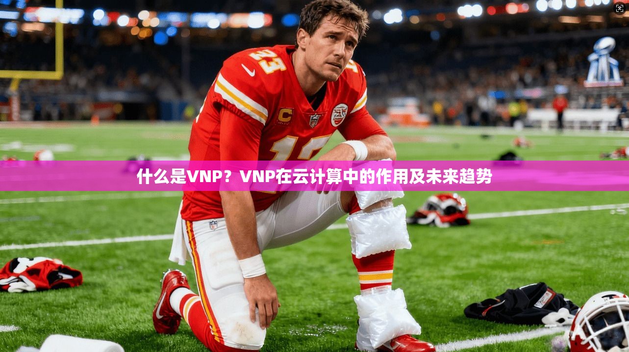 什么是VNP？VNP在云计算中的作用及未来趋势