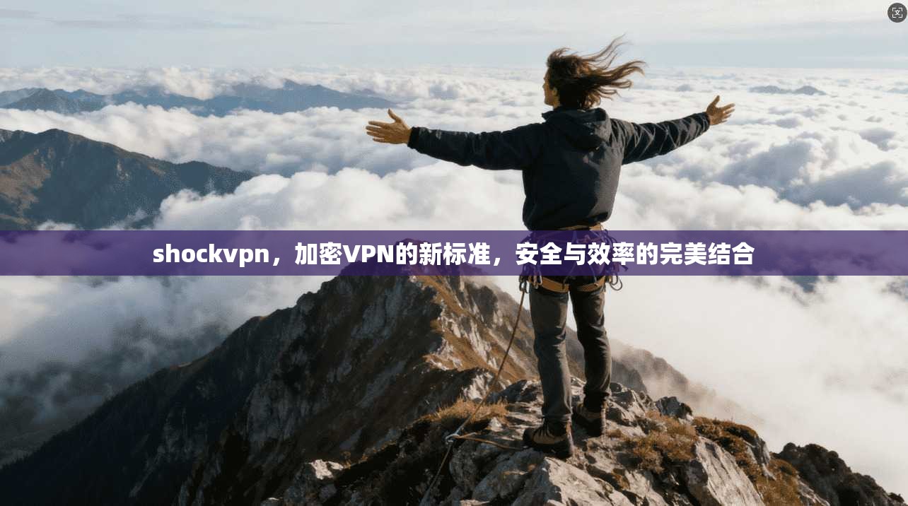 shockvpn，加密VPN的新标准，安全与效率的完美结合