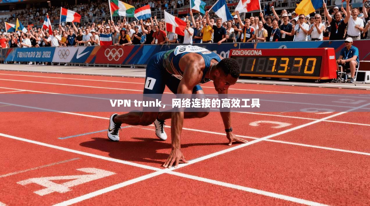 VPN trunk，网络连接的高效工具