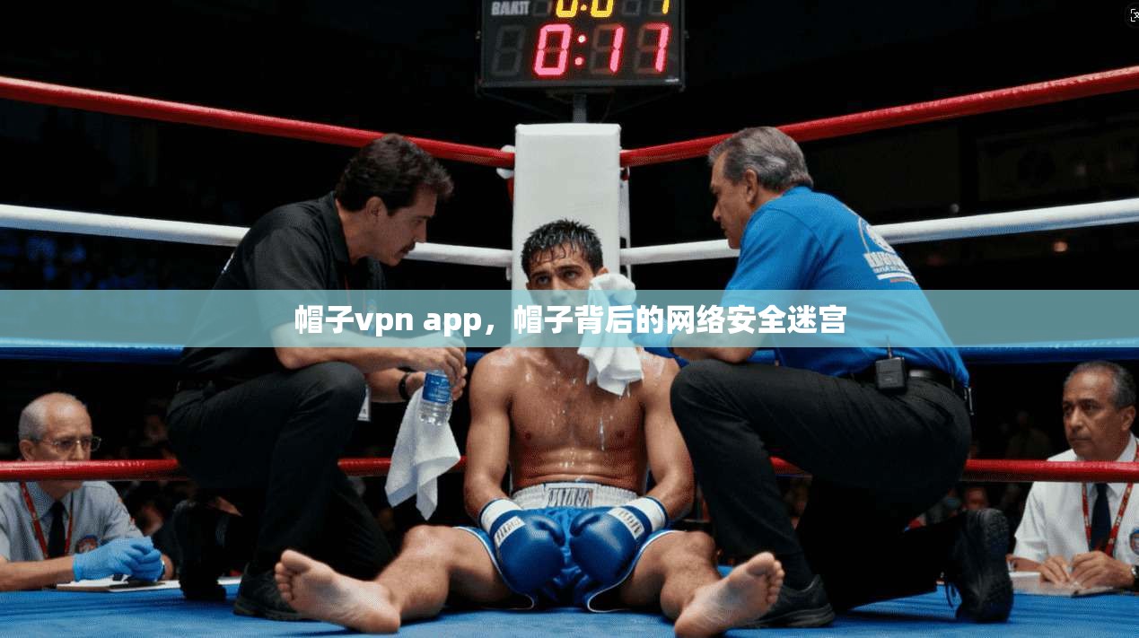 帽子vpn app，帽子背后的网络安全迷宫