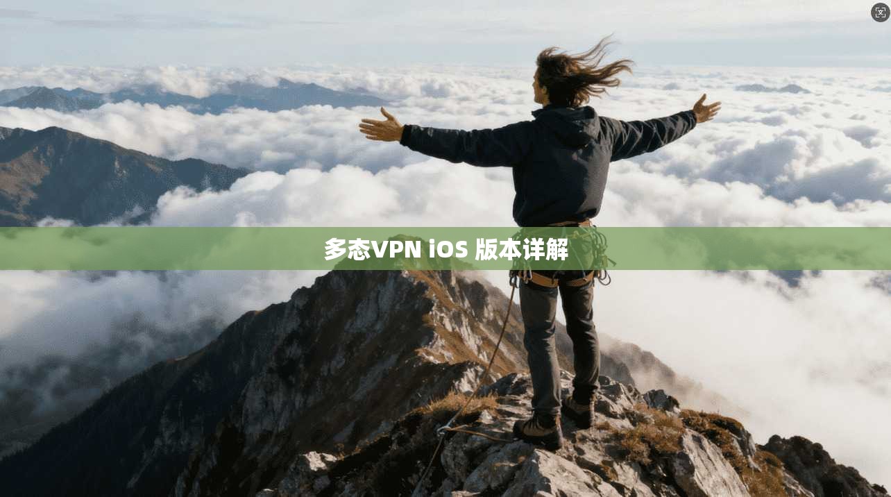 多态VPN iOS 版本详解