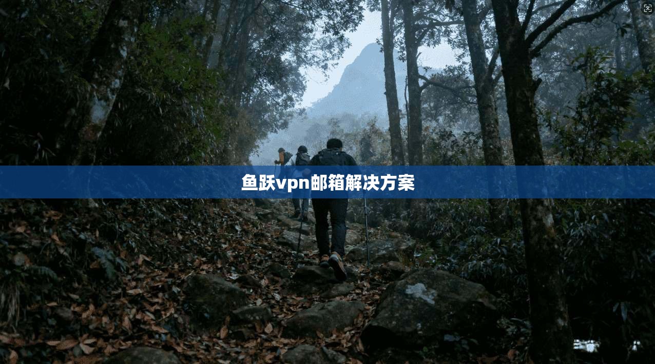 鱼跃vpn邮箱解决方案