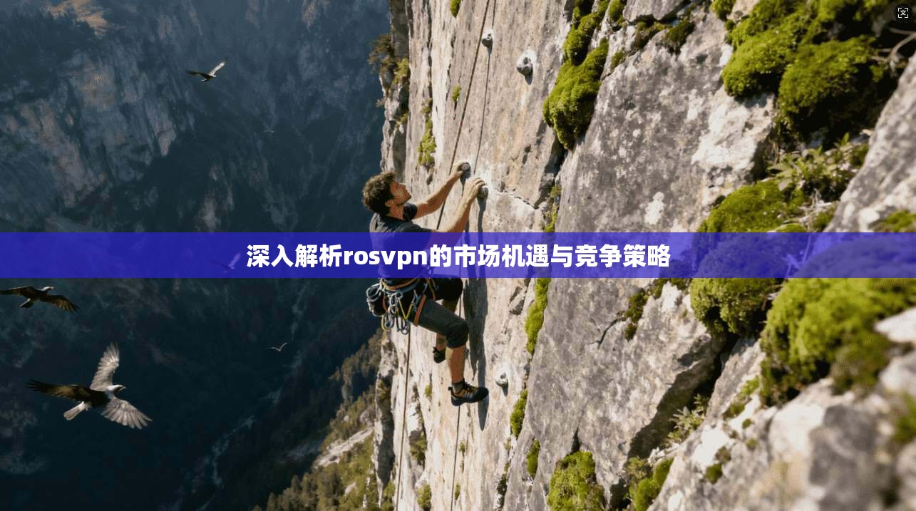 深入解析rosvpn的市场机遇与竞争策略