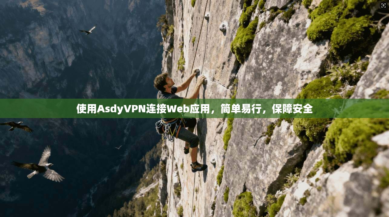 使用AsdyVPN连接Web应用，简单易行，保障安全