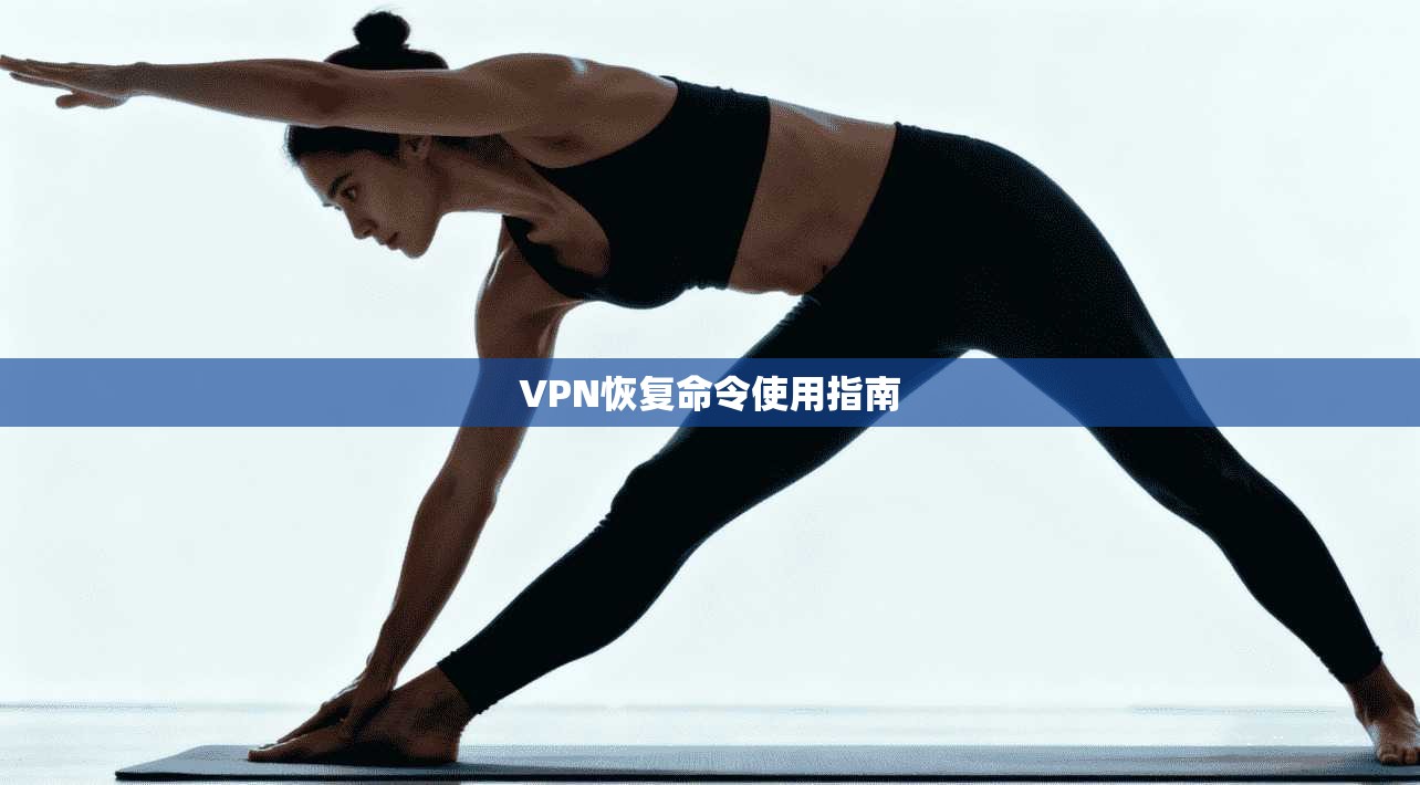 VPN恢复命令使用指南