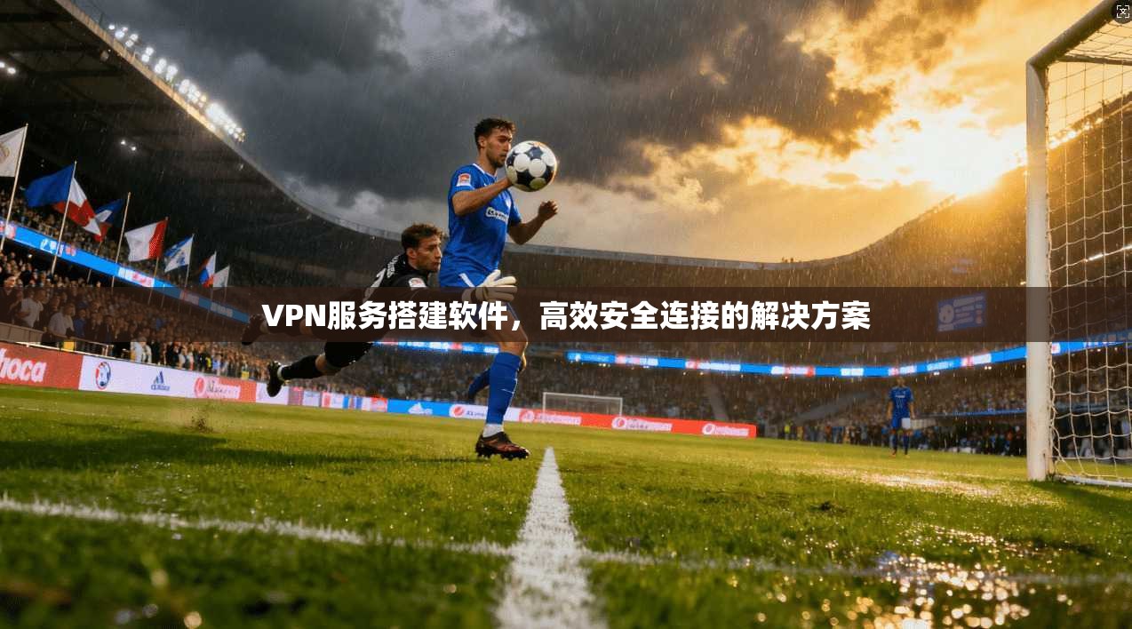 VPN服务搭建软件，高效安全连接的解决方案