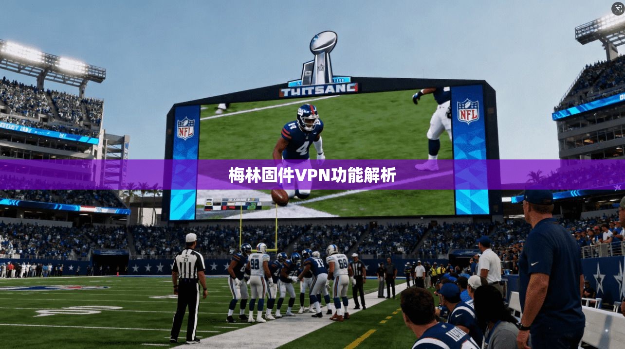 梅林固件VPN功能解析