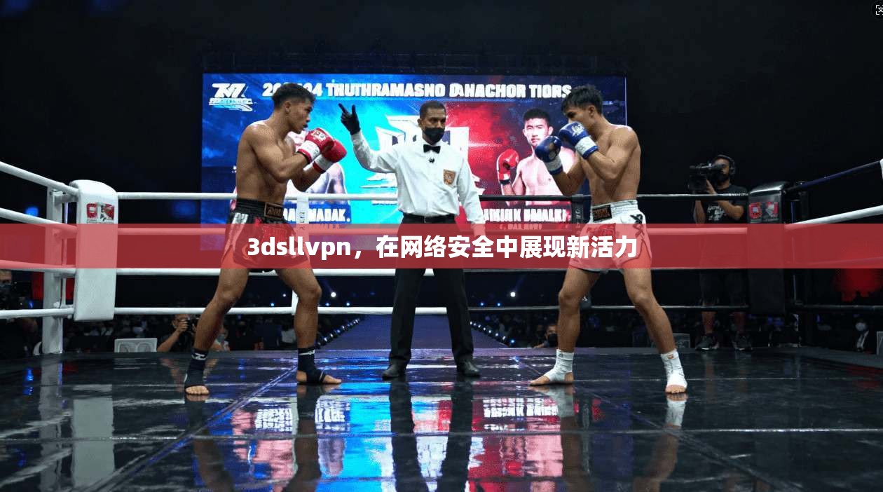 3dsllvpn，在网络安全中展现新活力