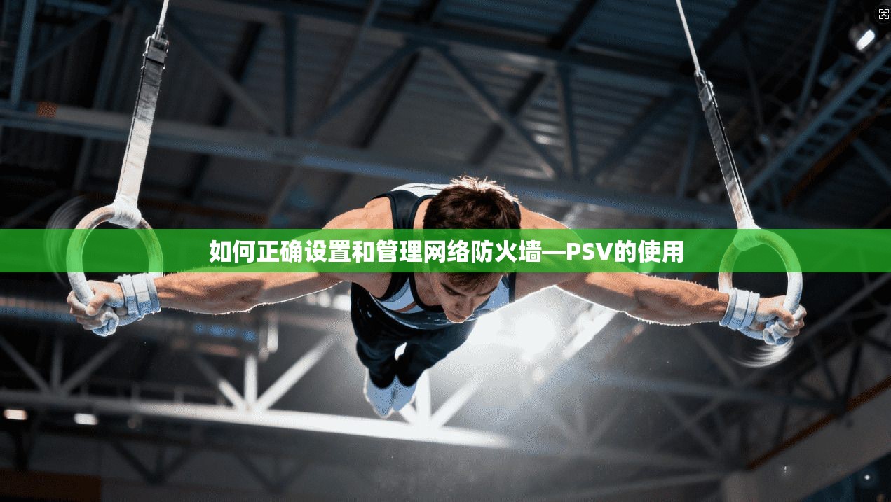 如何正确设置和管理网络防火墙—PSV的使用