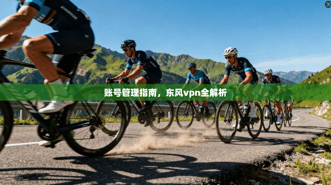 账号管理指南，东风vpn全解析