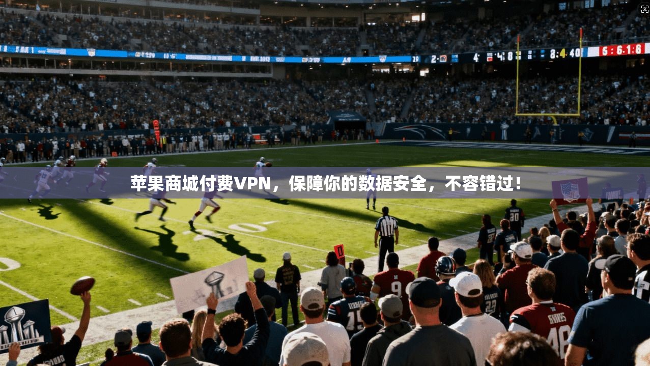 苹果商城付费VPN，保障你的数据安全，不容错过！