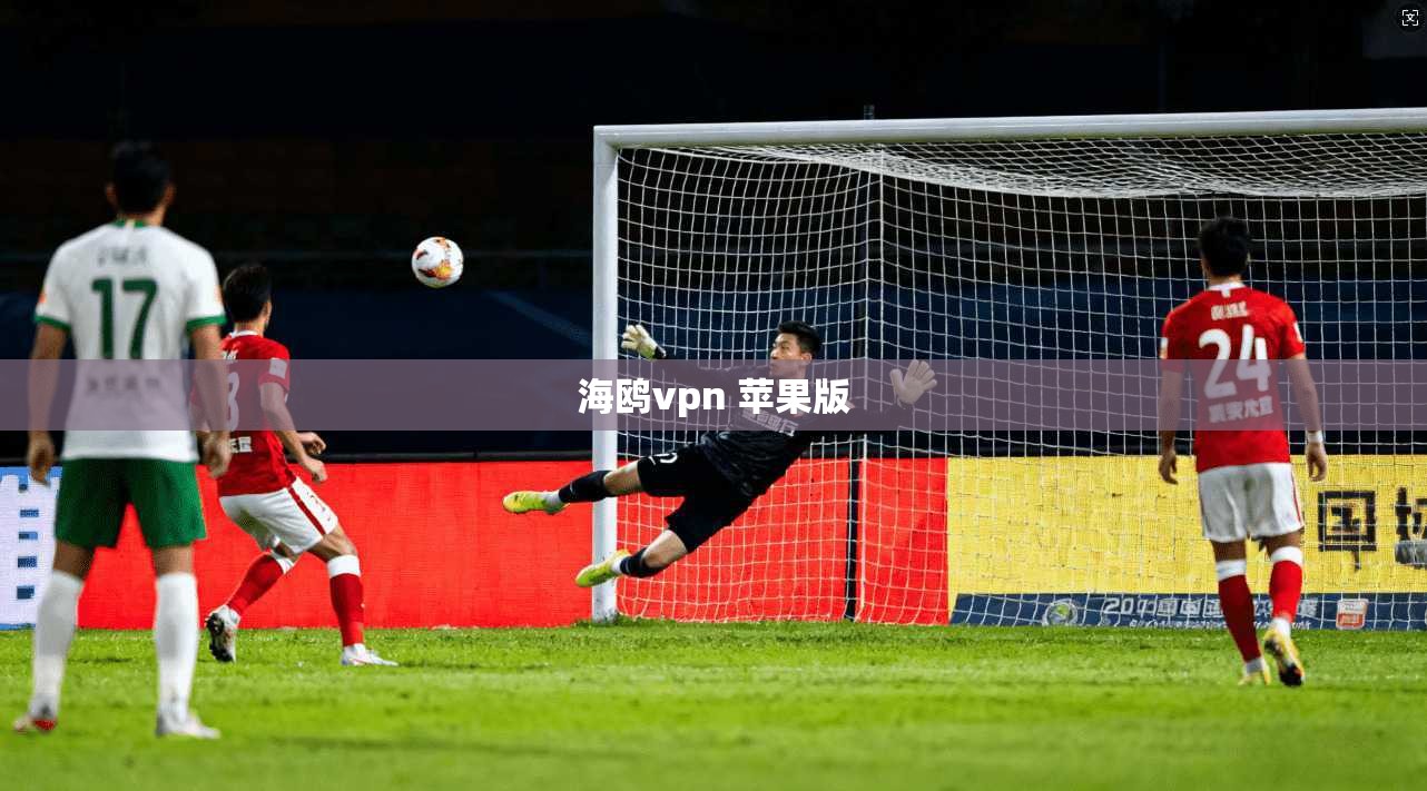 海鸥vpn 苹果版