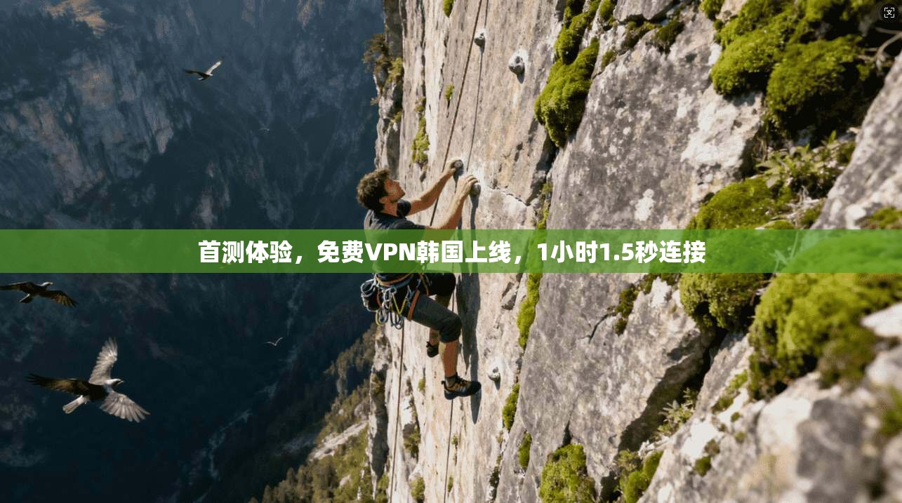 首测体验，免费VPN韩国上线，1小时1.5秒连接