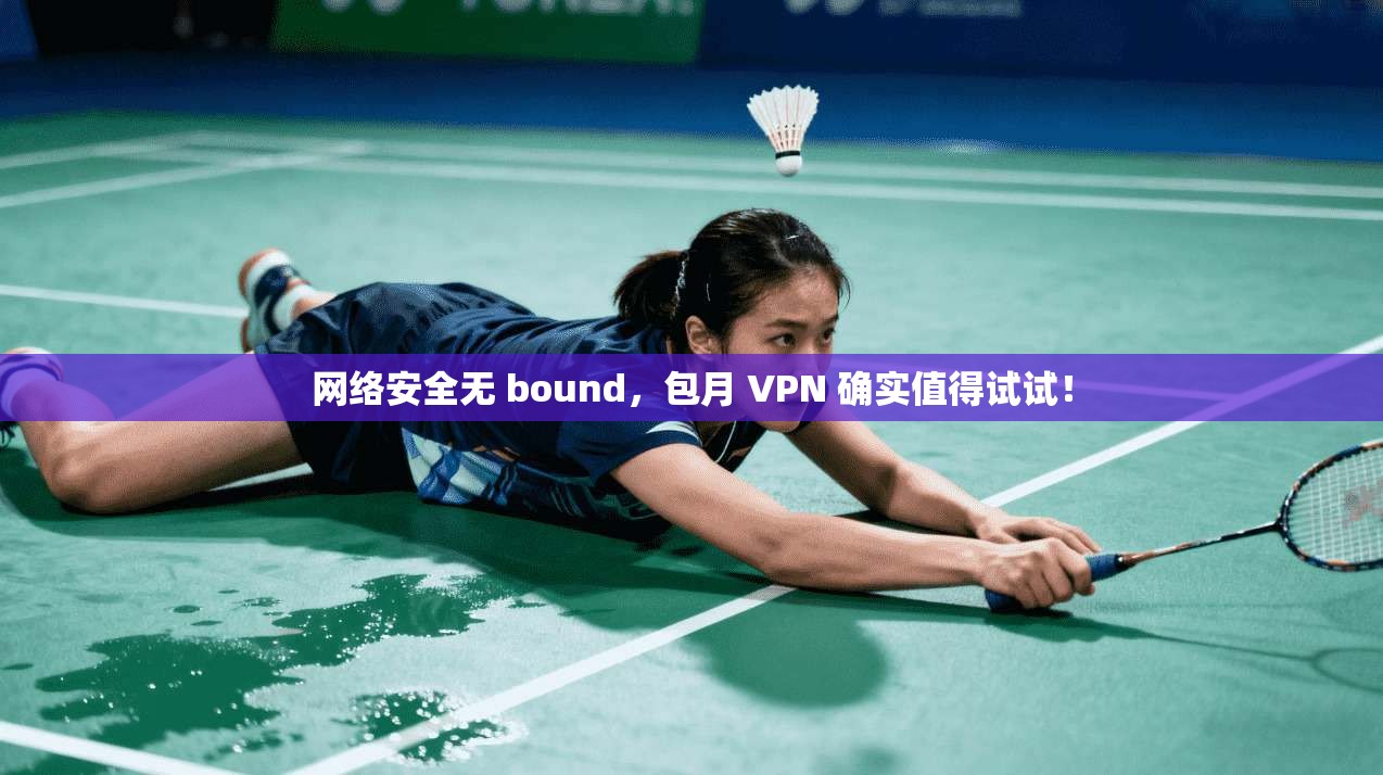 网络安全无 bound，包月 VPN 确实值得试试！