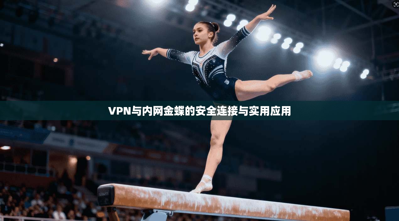 VPN与内网金蝶的安全连接与实用应用