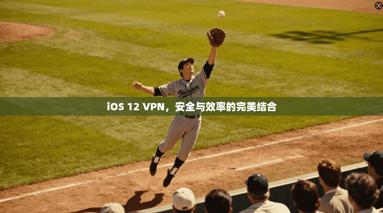 iOS 12 VPN，安全与效率的完美结合