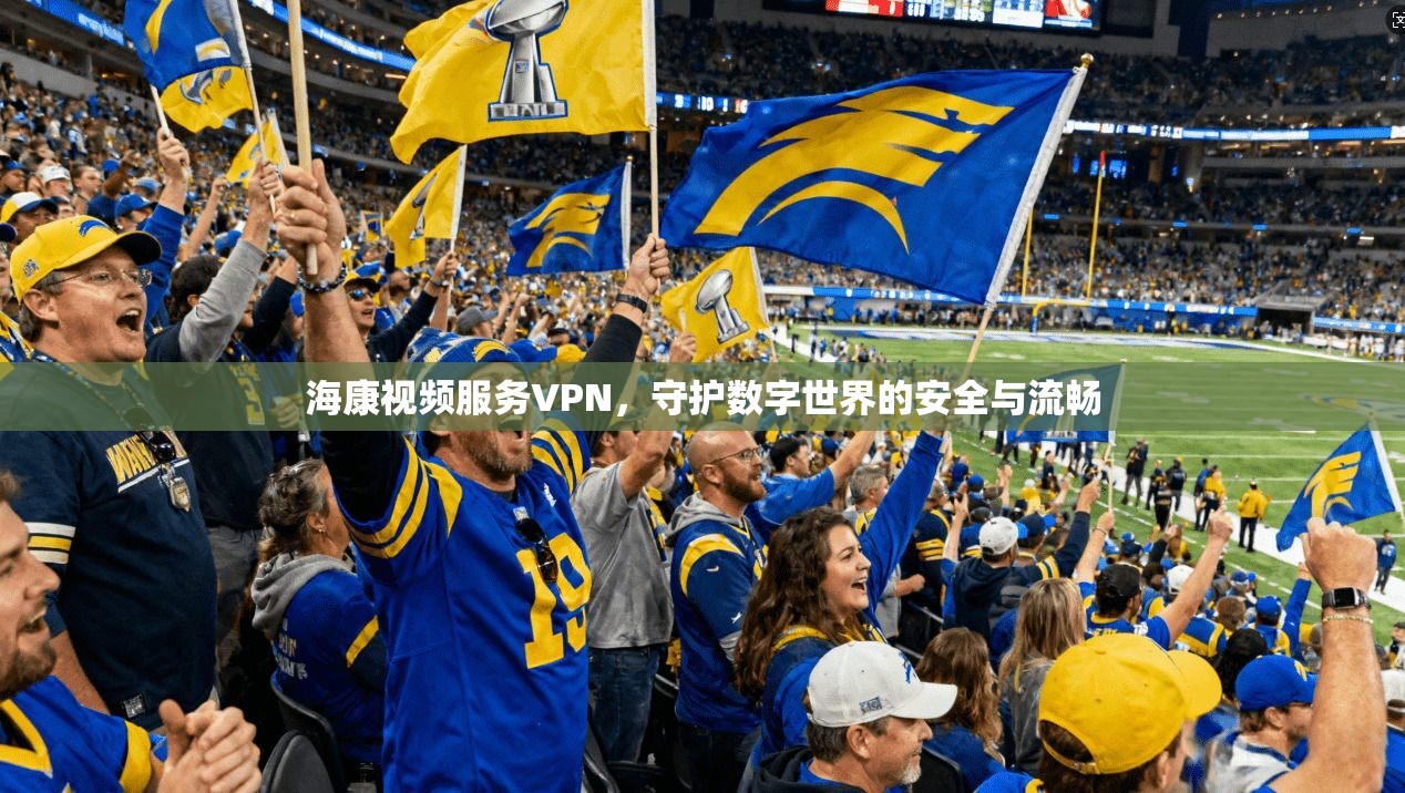 海康视频服务VPN，守护数字世界的安全与流畅
