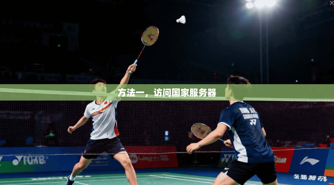 方法一，访问国家服务器
