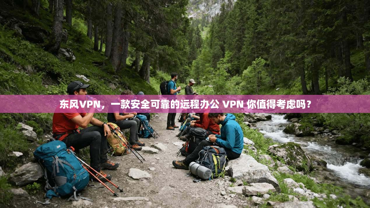 东风VPN，一款安全可靠的远程办公 VPN 你值得考虑吗？