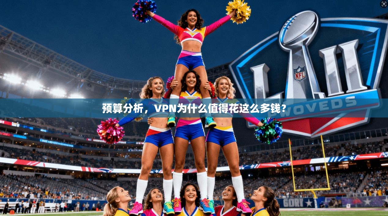 预算分析，VPN为什么值得花这么多钱？